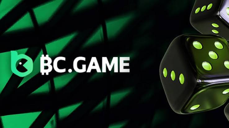 Maximize Your Experience with BC.Game RO Bonuses