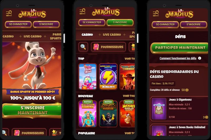 Magius casino connexion - Le Succès du Magius Casino en Ligne pour les Joueurs Français