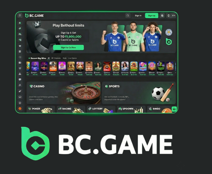 BC.Game Casino Platform Your Gateway to Online Gaming