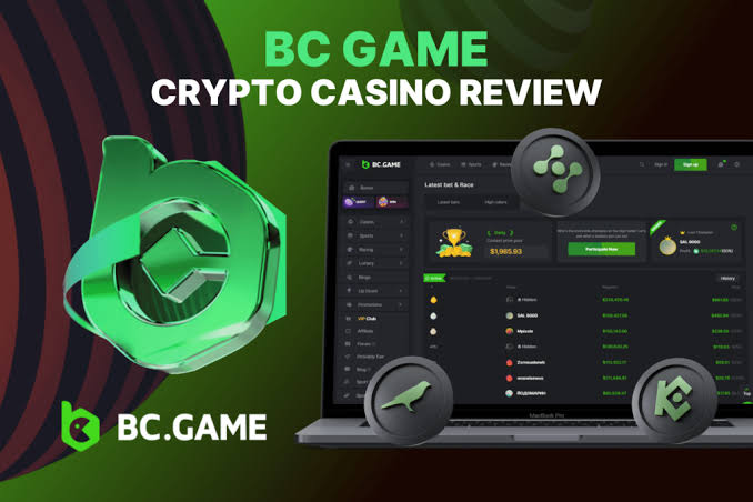 Understanding the BC.Game Login Process A Complete Guide
